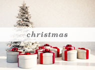 Personal Assistance - Christmas